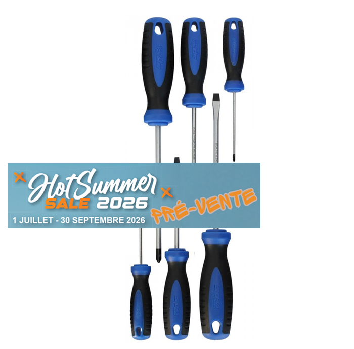 Assortiment de tournevis Phillips et Plats - 6 pièces | SP Tools | SP34006